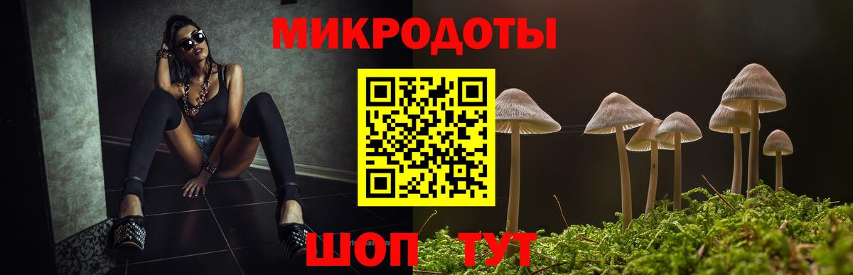 Алексеевка  Псилоцибиновые грибы мицелий  Вход с VPN 